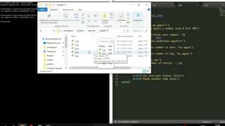 Random Exercise | Python Task