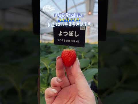 日本中部複合式度假村！最強草莓吃到飽、溫泉甜點