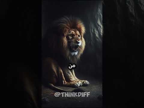قصة الفأر الذي هدد الأسد بقتله خلال شهر واحد، وكانت المفاجئة بعد شهر #shorts #قصص_واقعية