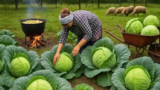HARVESTİNG CABBAGE & Preserving Grape Leaves - 1 Hour Of The Best Recipes