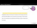 Crafting Effective Topic Sentences