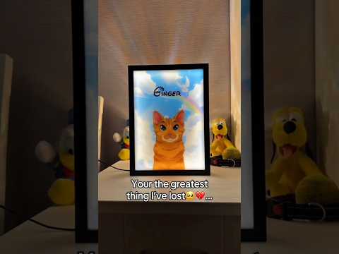 This made me cry 🥺 #lightbox #cat #rip #ledframe #wallart #animedrawing #photoframe #art
