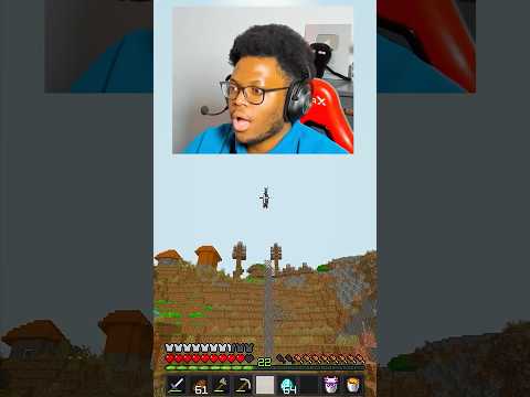 Minecraft, Ma Gli ASINI VOLANO