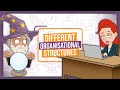 Organizational Structures and Their Impacts