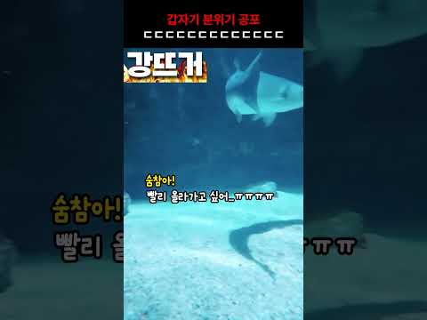 영화 이런 장면 무조건 있음 ㅋㅋㅋ