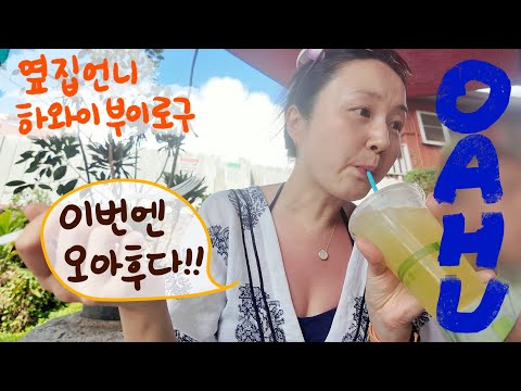 옷은 쫑겼지만 굴하지 않고 실컷 먹고 온 하와이 여행🌴 지오바니 새우, 레오나드 도넛 흡입하고 샥스코브 스노쿨링하고 남편이랑 밤거리 데이트 한 하와이 여행 부이로구🌺