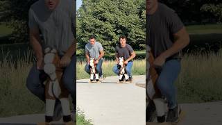 If people rode rocking horses instead of walked.