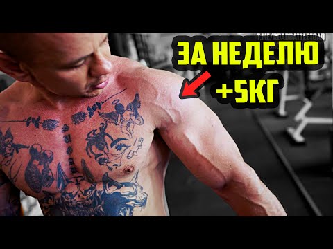 Вернули мышцы за неделю | Руки +2см, вес +5кг. Димону дали микрофон - начали сухой набор
