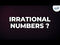 Understanding Rational and Irrational Numbers