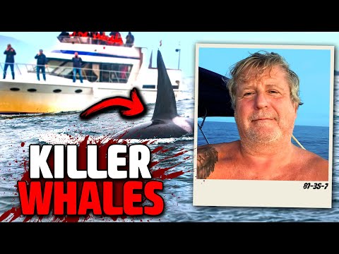 Orcas Attack This Mans $100K Yacht in TERRIFYING Encounter!