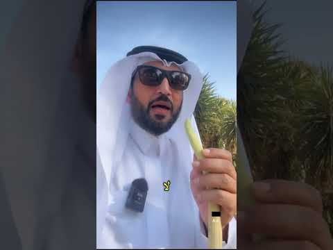 ‏بعضنا قدلا يعلم وقثائها بسورة البقرة وتصدقت عنك ووالديك بأ٤ أوقاف في مكةلأنك تشاهد المقطع وبلامقابل