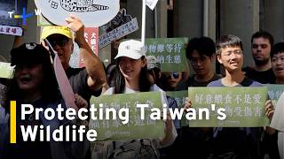 YouTube video thumbnail: Taiwan Wildlife Conservationists Demand Action on Stray Attacks