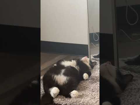 Dudes going through it (c&c: tiktok/angelxmorgann)