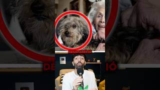 Su perro desapareció misteriosamente 😱 #sabiasque #curiosidades