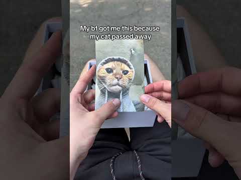 I am glad I bought this for my cat🥹#cat #pet #petsoftiktok #fyp #viral #cute