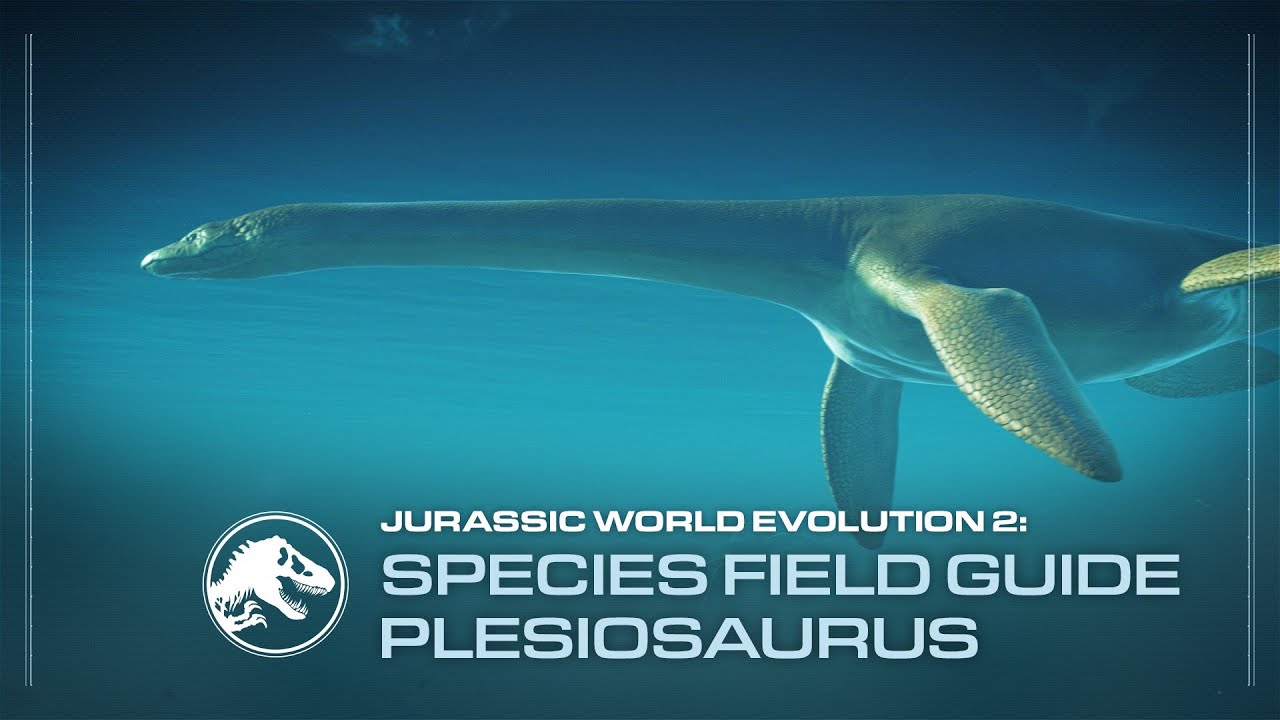 Plesiosaurus