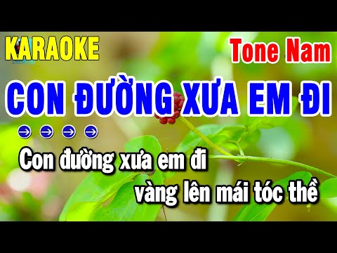 Karaoke Con Đường Xưa Em Đi Nhạc Sống Tone Nam ( Bm ) Beat Hay 2025 | Thanh Hải