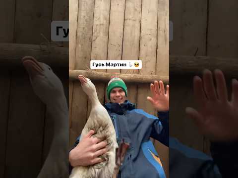 Пора закрывать тренд 🪿🧑‍🌾