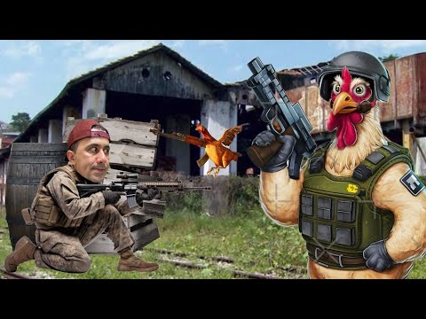 O JOGO DAS GALINHAS MAIS PERIGOSAS - Chicken Strike