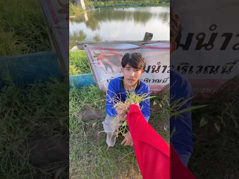 อ่าวก็นึกว่าควาย #ยอโบ