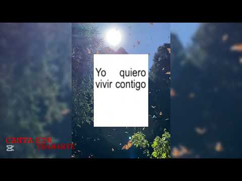 Canta sin trabarte 🎧🎤 Vers: mon laferte ‼️