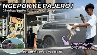 REZEKI ANAK SHOLEH ⁉️PULANG DARI JKT DAPAET AYAM DI TENGAH TOL