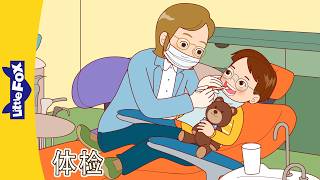 看牙医、配眼镜和健康习惯 | Taking Care of Ourselves | Little Fox