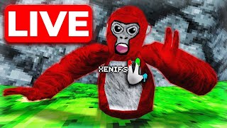 GORILLA TAG LIVESTREAM WITH VIEWERS!