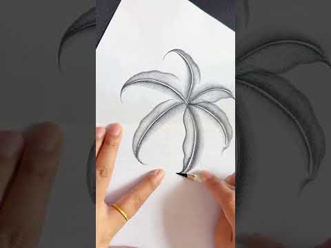 Very Easy Drawing Flower with Pencil #art #drawingflower