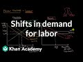 Understanding Labor Market Dynamics