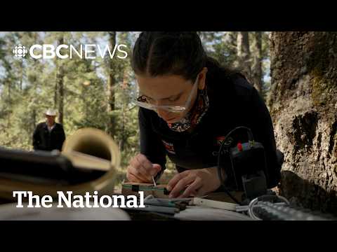 YouTube video thumbnail: Why Scientists are Gluing Microchips on Butterflies