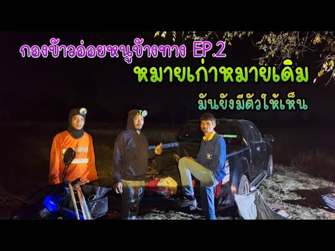 กองข้าวอ่อยหนูหมายข้างทางEP.2!!!มันยังมีตัว