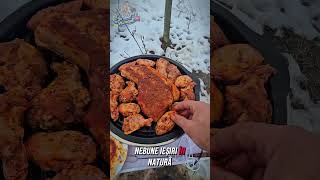 UN GRII FOARTE BUN PENTU CAMPING SI PESCUIT DE LA WOLF