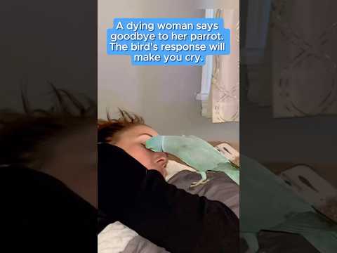 A dying woman says goodbye to her parrot. The bird's response will make you cry.#fyp #foryou