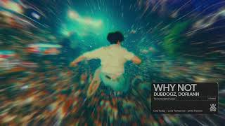 Dubdogz, Doriann - Why Not [Tomorroland Music]