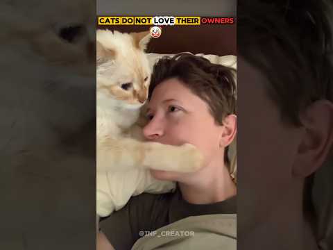 Cats Do Not Love Their Owners🤡🗿,#cat #trolfaceedit #trollface #shorts