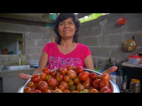 Voces de la Naturaleza | Rutas del Agua | TVN Panamá