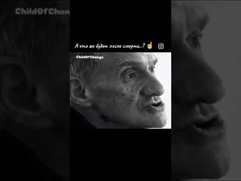 28 ноября 2024 г.