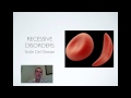Genetic Disorders and Inheritance Patterns