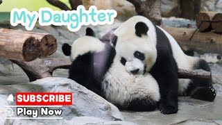 Mei Zhu Can’t Handle Mom’s Biting Massage! | iPanda