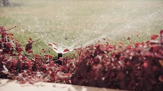 YouTube video thumbnail: Why Cheyenne's Watering Rules Matter More Than Ever in 2026