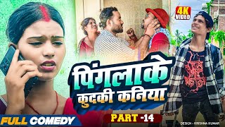पिंगलाके कुदकी कनिया (Part-14)#Gamgharcomedy//Maithili Serial#Comedy2025