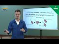 Características e Tipos de Reprodução