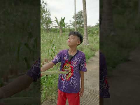 PERTARUNGAN PEDANG