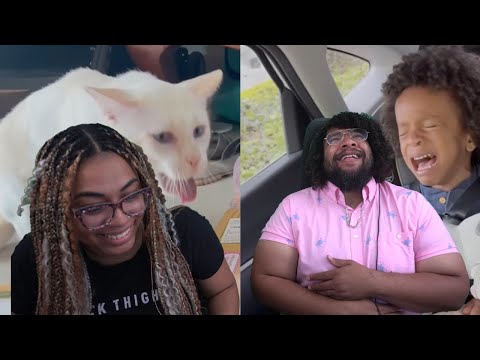 Sick Cats and Unhappy Babies  | Daily Dose Of Internet Reaction