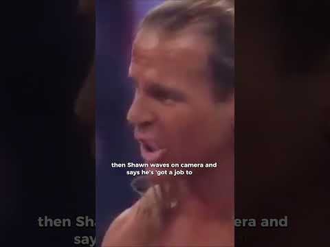 Shawn Michaels vs John Cena Wrestlemania 23 #shawnmichaels #hbk #johncena #wwe #raw #wweraw #wwf