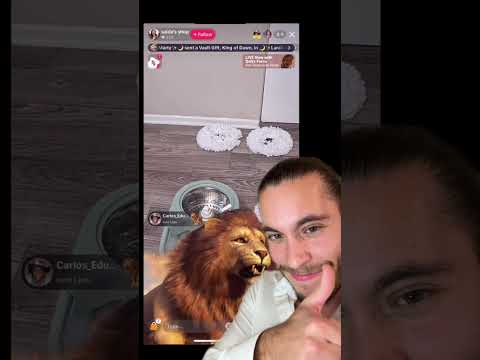 Le tiré 3 leones a esta señora y casi se desmaya de la emoción 😱❤️