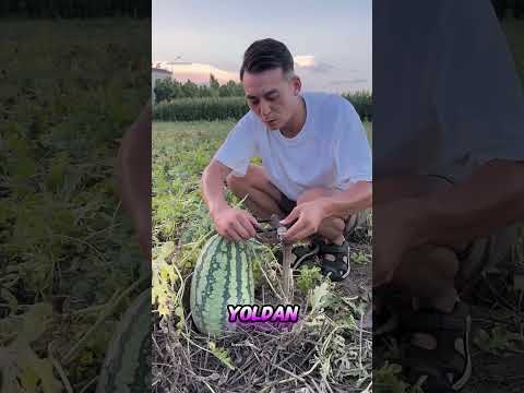 Daha Güvenli Oldu 😡