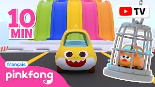 🚨Sauver William + Wheels on the Bus en anglais | +Comptines | Pinkfong Bébé Requin ! Chansons Bébés