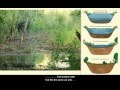 Pond Health and Management Concepts